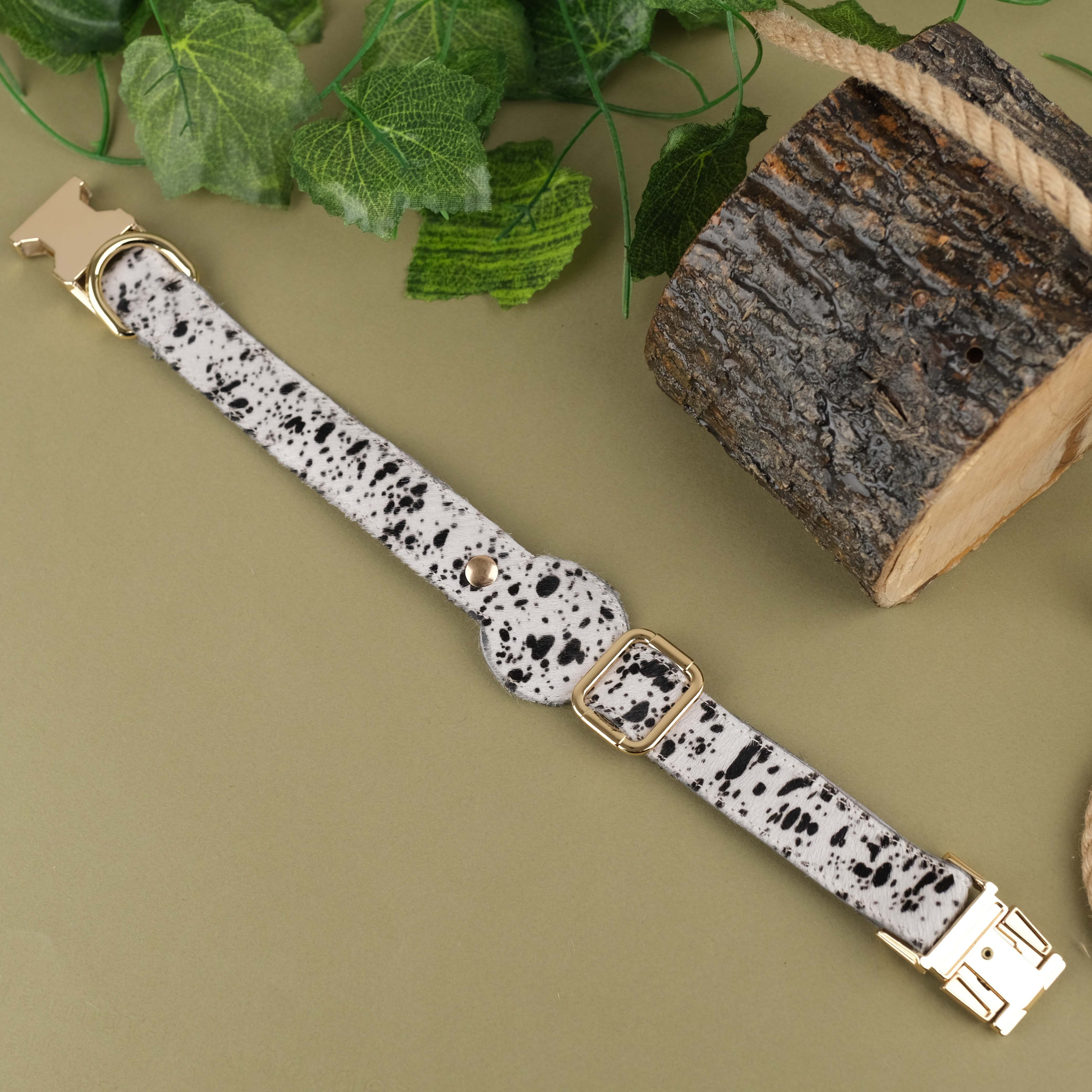 leather dog collars