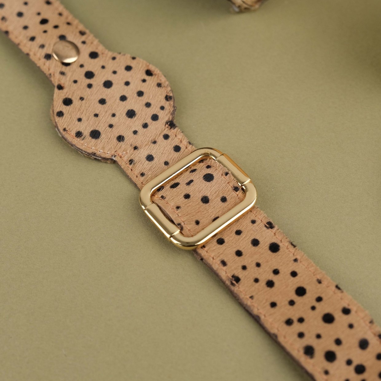 Sprinkle Handcrafted Leather Dog Collar with Airtag Slot