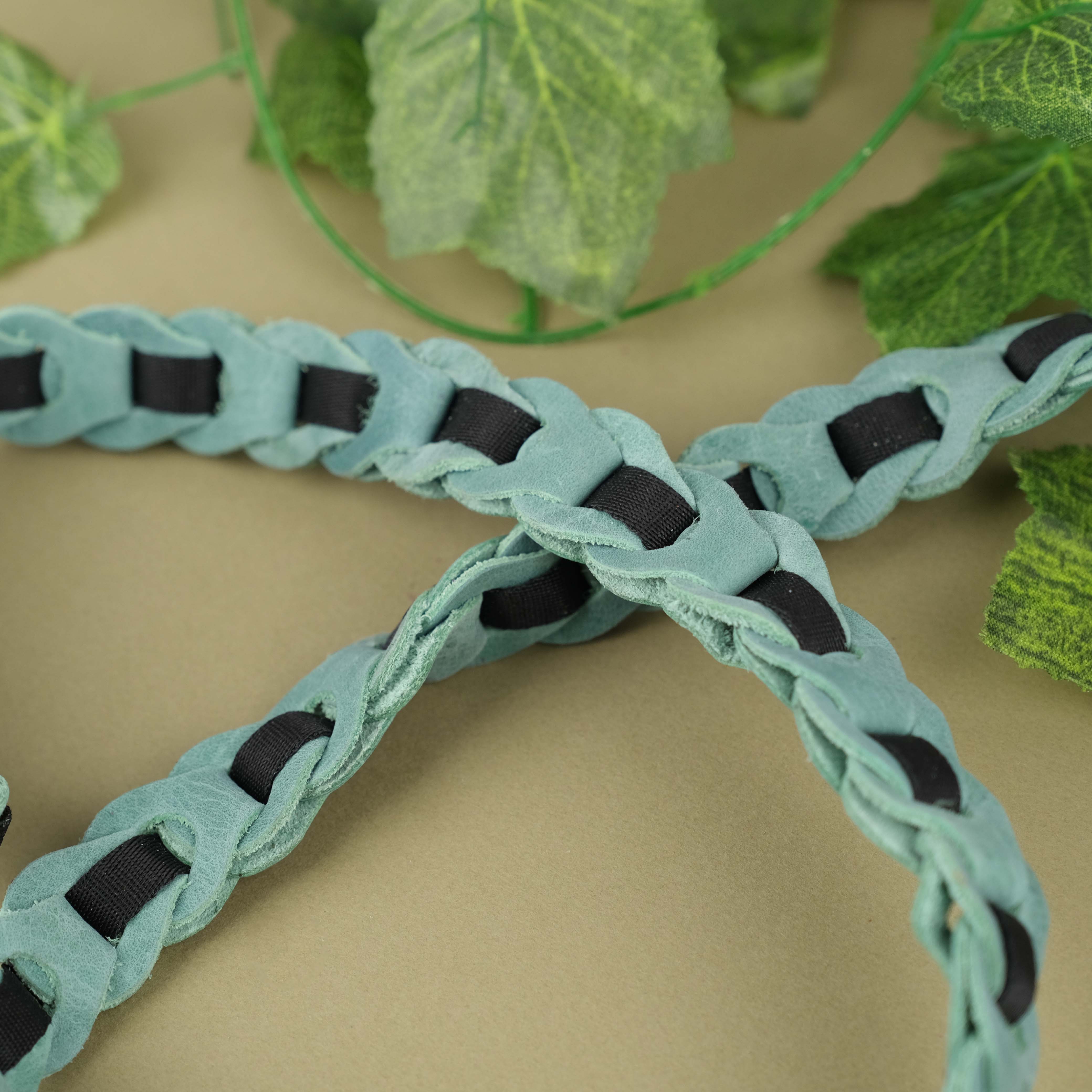 Almond Green Leather Pet Leash