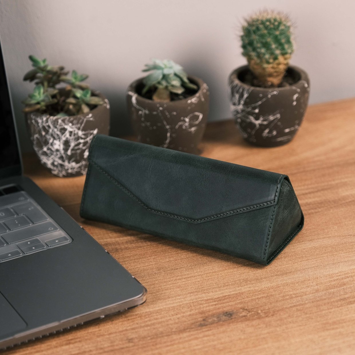Olive Green Glasses Case Hard
