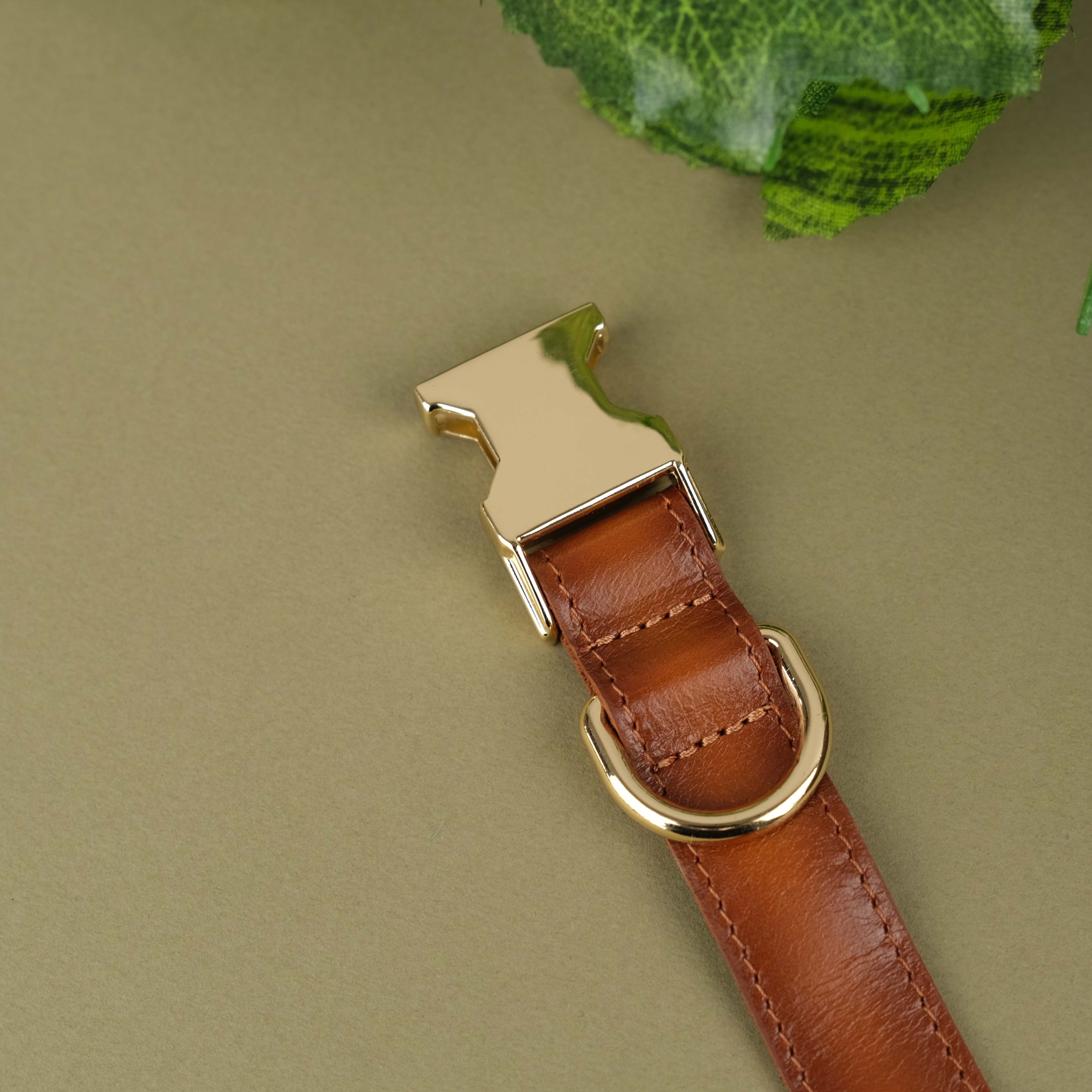 Tan Handcrafted Leather Dog Collar with Airtag Slot